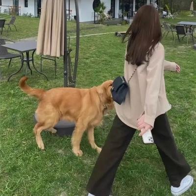 奥宫春色